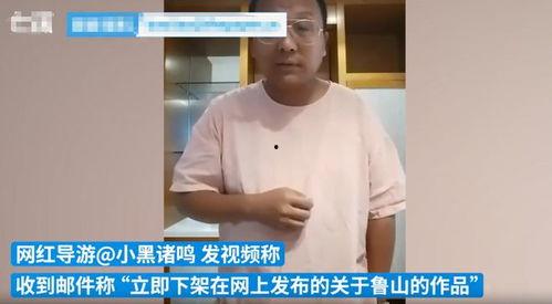 鲁山爆料者被威胁视频最新,勇敢揭露真相背后的惊心动魄  第1张