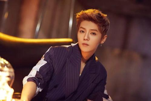 大瓜爆料鹿晗视频大全最新  第3张